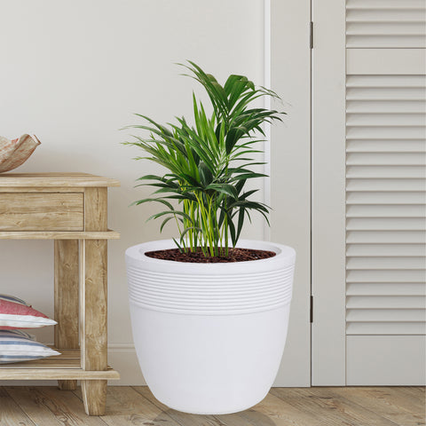 Small Iris Pot Small Iris Pot