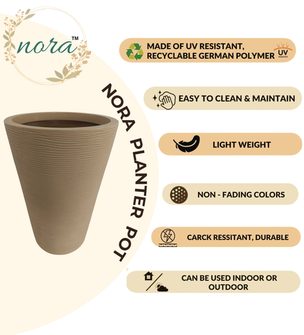 Aura Ring Pot Aura Ring Pot