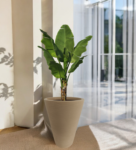 Aura Ring Pot Aura Ring Pot