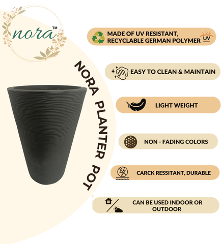 Aura Ring Pot Aura Ring Pot