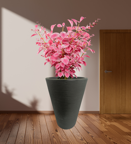 Aura Ring Pot Aura Ring Pot