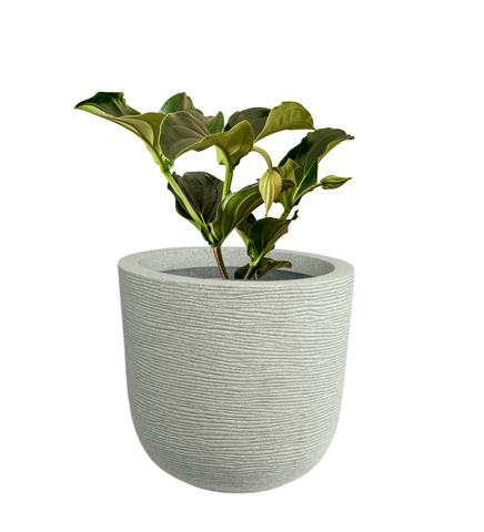 Big Iris Round Pot - 16'' Big Iris Round Pot - 16''