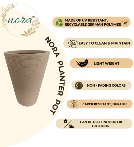 Aura Ring Pot Aura Ring Pot