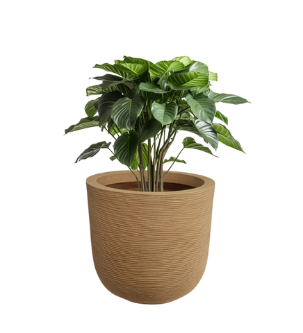 Big Iris Round Pot - 16'' Big Iris Round Pot - 16''