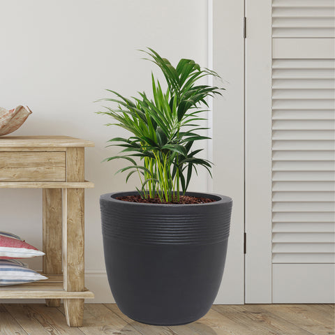 Small Iris Pot Small Iris Pot