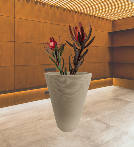 Aura Ring Pot Aura Ring Pot