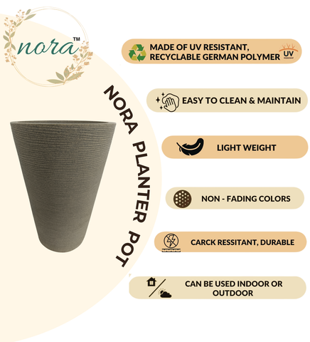 Aura Ring Pot Aura Ring Pot