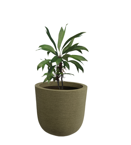 Big Iris Round Pot - 16'' Big Iris Round Pot - 16''