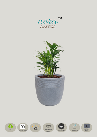 Small Iris Pot Small Iris Pot