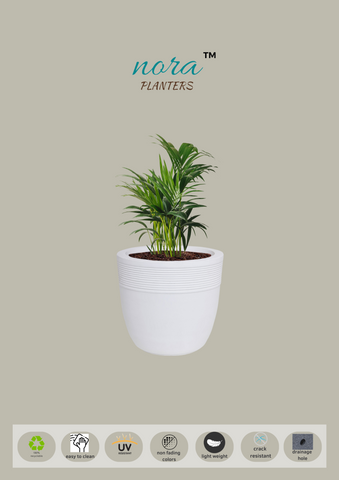 Small Iris Pot Small Iris Pot