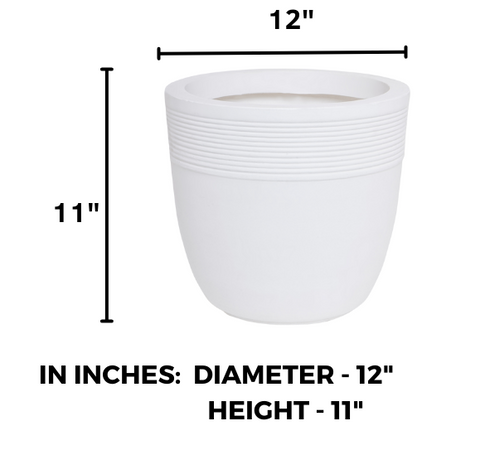 Small Iris Pot Small Iris Pot
