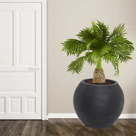Medium Juniper Pot