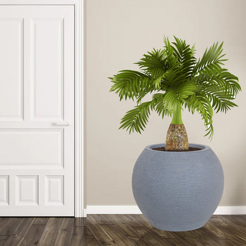 Medium Juniper Pot