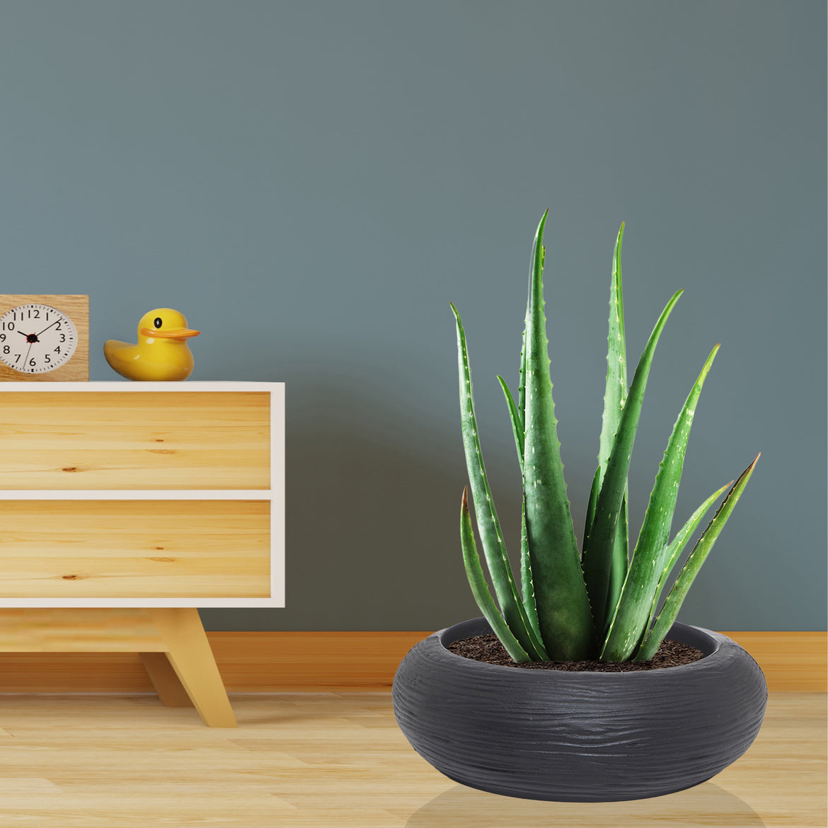 Geli Planter Nora Vaso Quadrato In Polipropilene, Colore Terracotta, 23x23x20 Cm