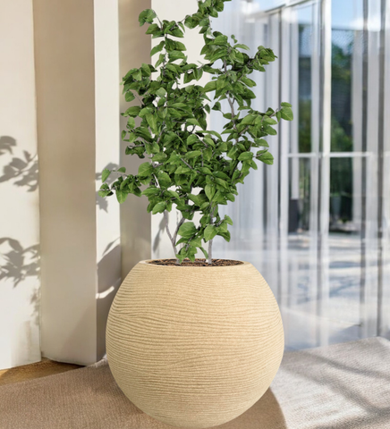 Medium Juniper Pot
