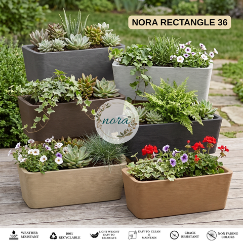 Rectangle Pot - 36