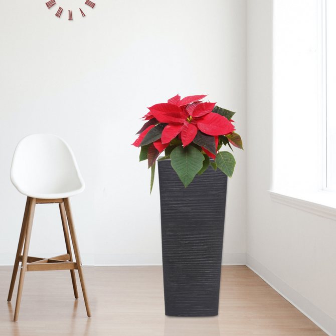 Vaso Piante Quadrato Con Inserto HHG-584 Legno Acacia 32x32x32cm Legno Chiaro 67804133
