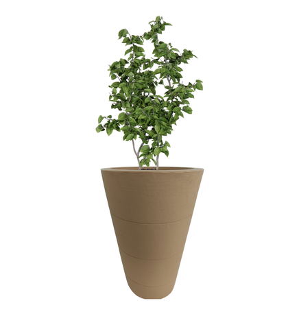 Three Ring Pot