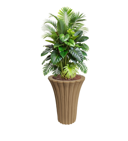 Palm Pot