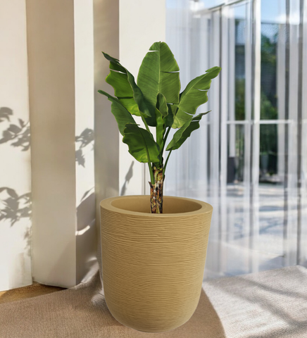 Big Iris Round Pot - 20''