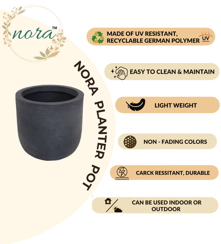 Big Iris Round Pot - 16''