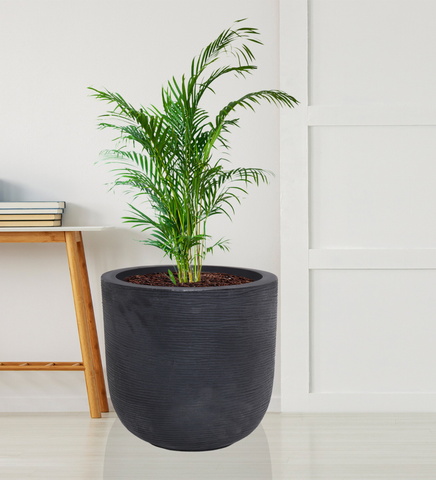 Big Iris Round Pot - 16''