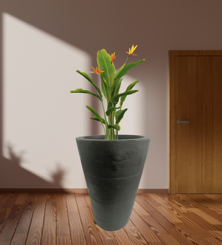 Three Ring Pot