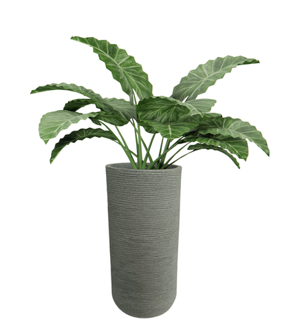 Medium Iris Round Pot - 24''