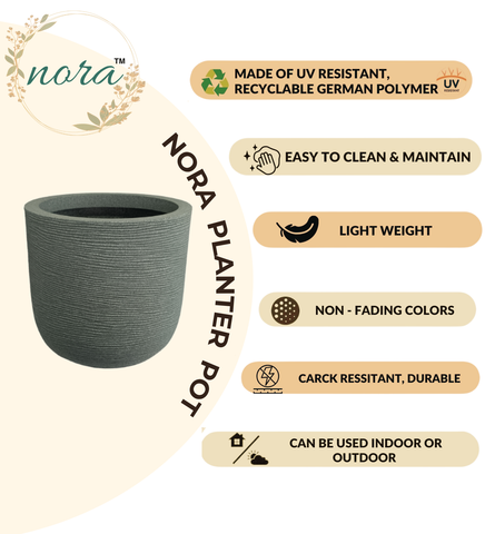 Big Iris Round Pot - 16''