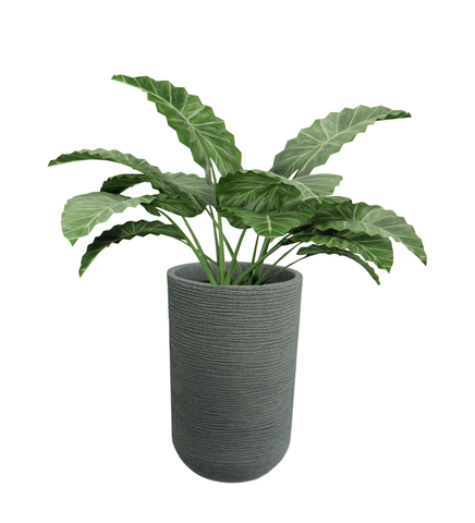 Medium Iris Round Pot -18"