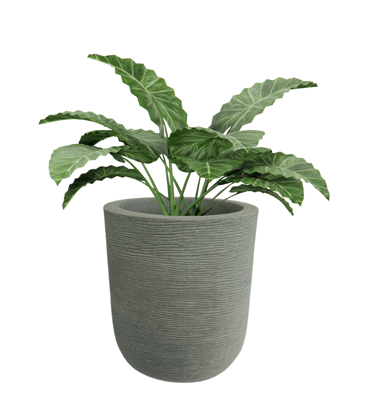 Big Iris Round Pot - 20''