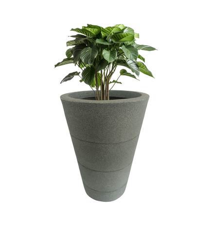 Three Ring Pot