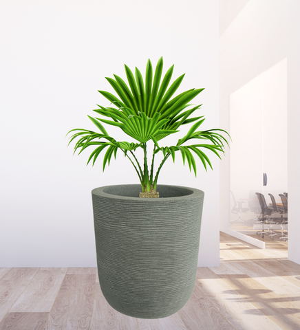 Big Iris Round Pot - 20''