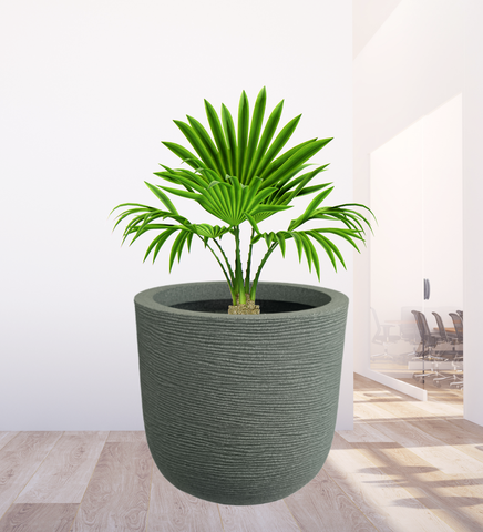 Big Iris Round Pot - 16''