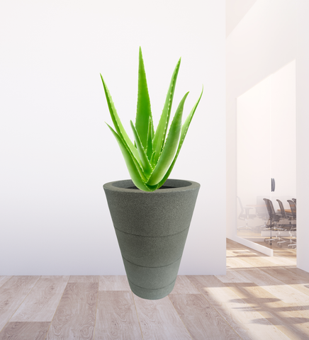 Three Ring Pot