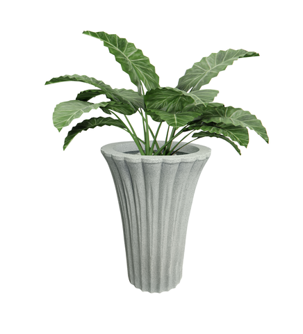 Palm Pot