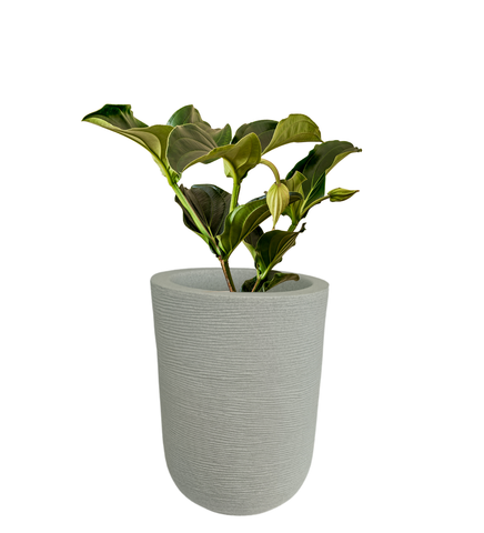 Big Iris Round Pot - 24''