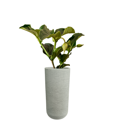 Medium Iris Round Pot - 24''