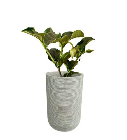 Medium Iris Round Pot -18"