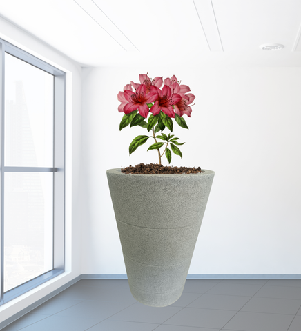 Three Ring Pot