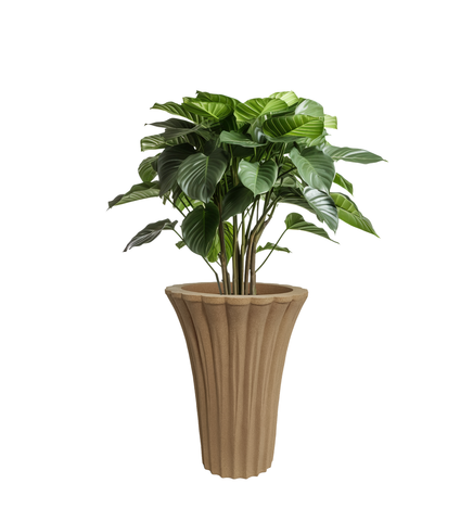 Palm Pot