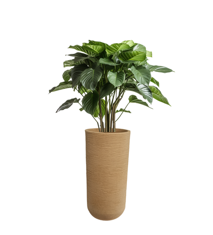 Medium Iris Round Pot - 24''