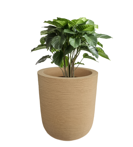 Big Iris Round Pot - 20''