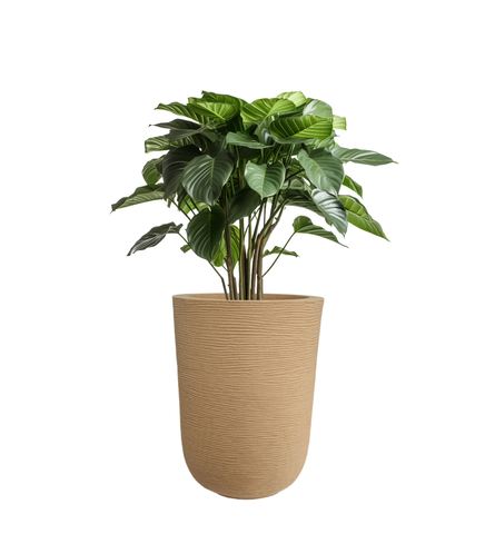 Big Iris Round Pot - 24''