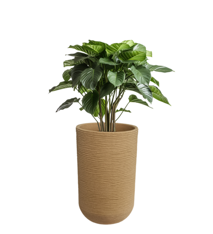 Medium Iris Round Pot -18"