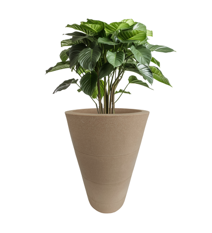 Three Ring Pot
