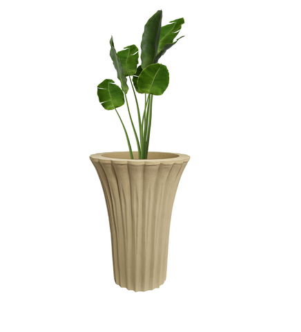 Palm Pot