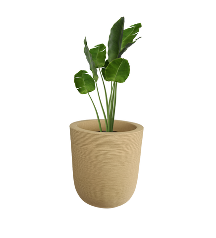 Big Iris Round Pot - 20''