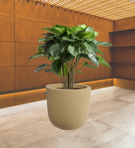 Big Iris Round Pot - 16''