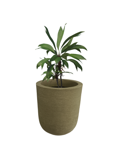 Big Iris Round Pot - 20''